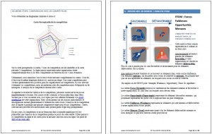 guide plan stratégique