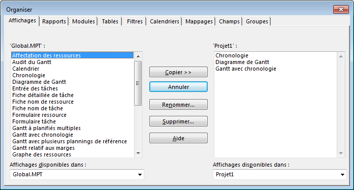 MS Project Organisateur